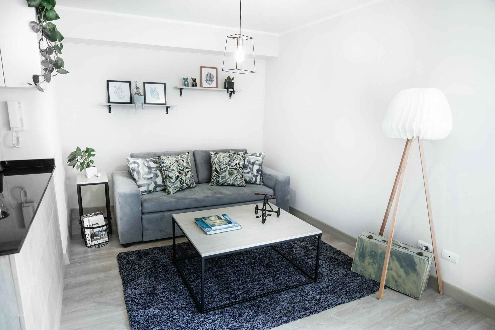 Trendy Host Osma, Barranco Lejlighed Lima Eksteriør billede